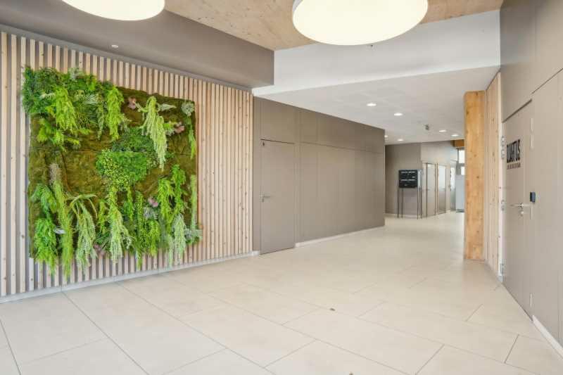 Bureau Lyon 343m² Location bureau Lyon Rhône OLBUR2423927 2